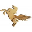 Pegasus Kit