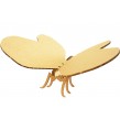 Butterfly Kit